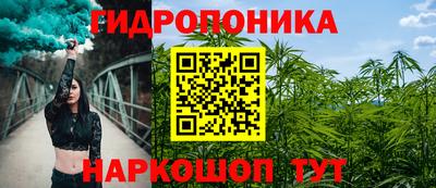 спайс Аргун