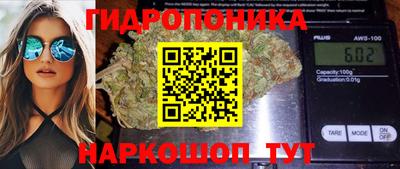 спайс Аргун